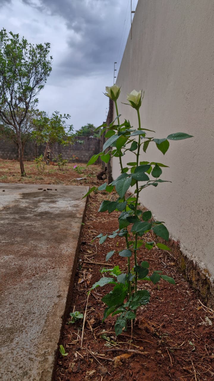 Casa Bairro Paineiras – Araguari – MG