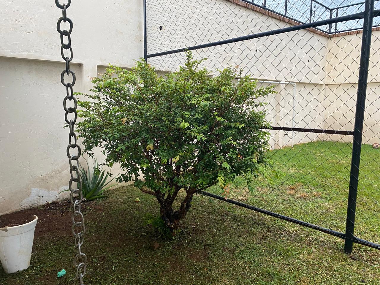Casa Alto Padrão – Bairro Centro – Araguari – MG